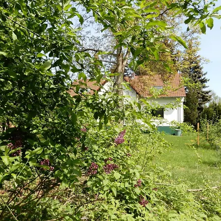 Streuobstwiese *