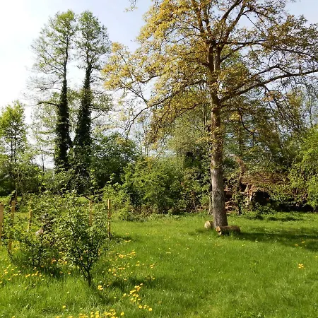 Streuobstwiese