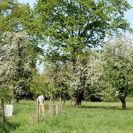 Streuobstwiese * Burg (Spreewald)