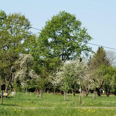 Streuobstwiese Daire Burg (Spreewald)